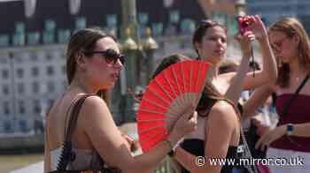 UK heatwave to feel like 50C as heat dome dubbed 'Sizzler from the South' looms