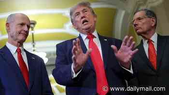 Trump gets into screaming match with rebel Republican calling him a 'bully' during explosive fight over Iran war