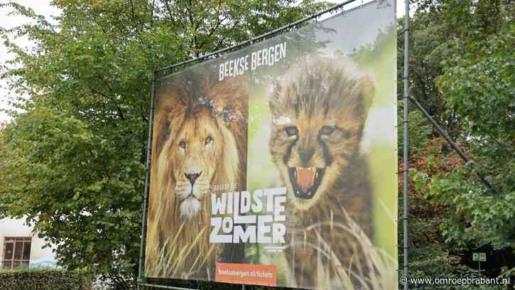 Asielopvang bij Beekse Bergen afgeblazen door eigenaar Libéma