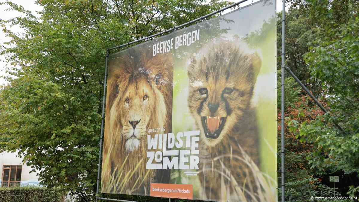 Asielopvang bij Beekse Bergen afgeblazen door eigenaar Libéma