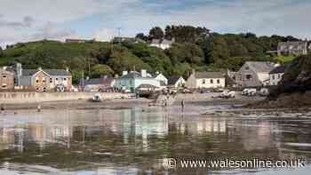 This fishing village has a sandy cove, seaside pub and seafood sandwiches
