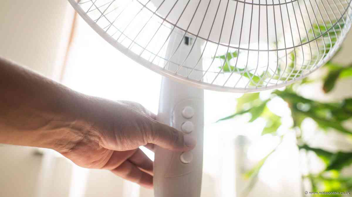 Houses will stay cool during the heatwave with 6 'super effective' tips