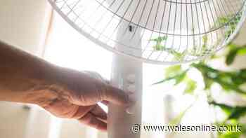 Houses will stay cool during the heatwave with 6 'super effective' tips