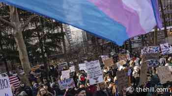 Judge blocks subpoenas in transgender care investigation at NY hospitals