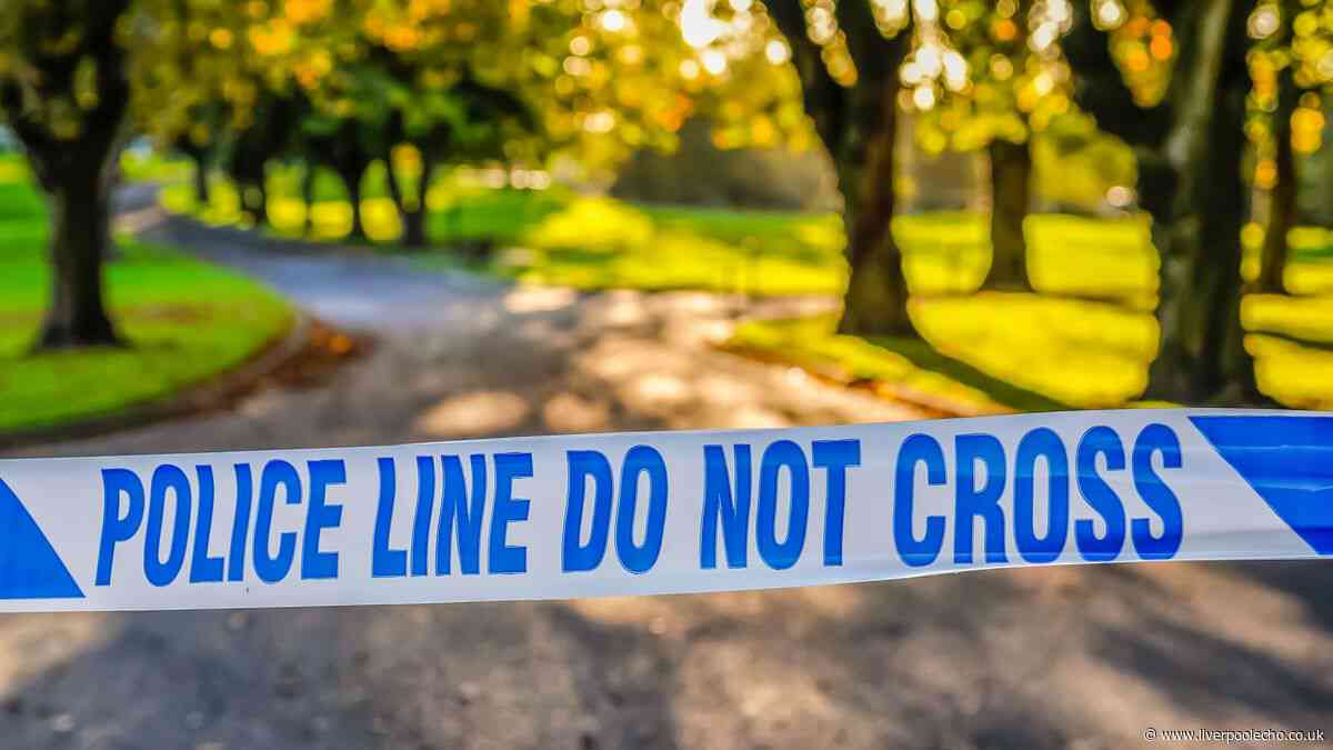Major search underway for boy, 15, missing after swimming in popular lake