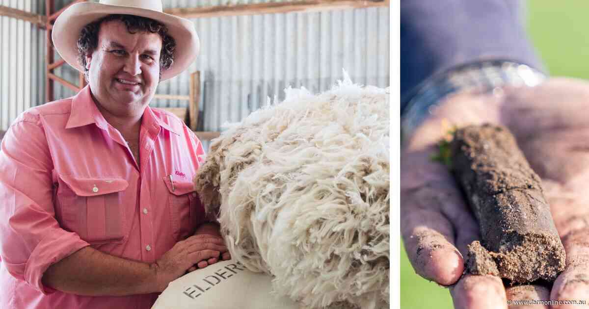 ACCUs, sequestration, insetting: a grazier's guide to carbon terms