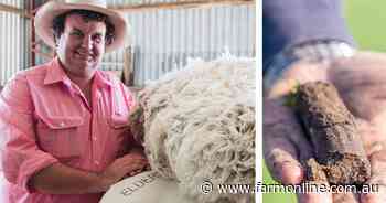 ACCUs, sequestration, insetting: a grazier's guide to carbon terms