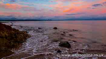 This beautiful Welsh peninsula has sandy beaches, castles, and one of the world's best beach bars