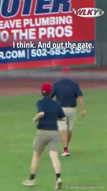 Squirrel Gets on Field of Louisville Bats Baseball Game