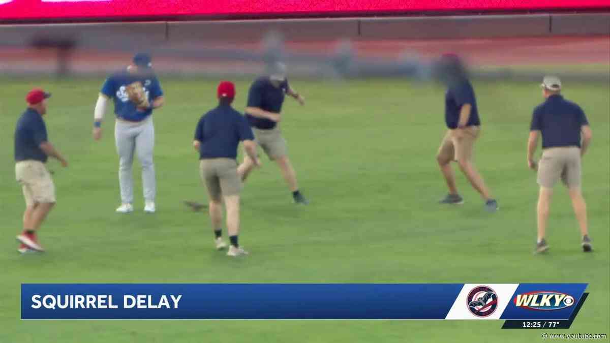 Squirrel scampering across Slugger Field delayed Bats game