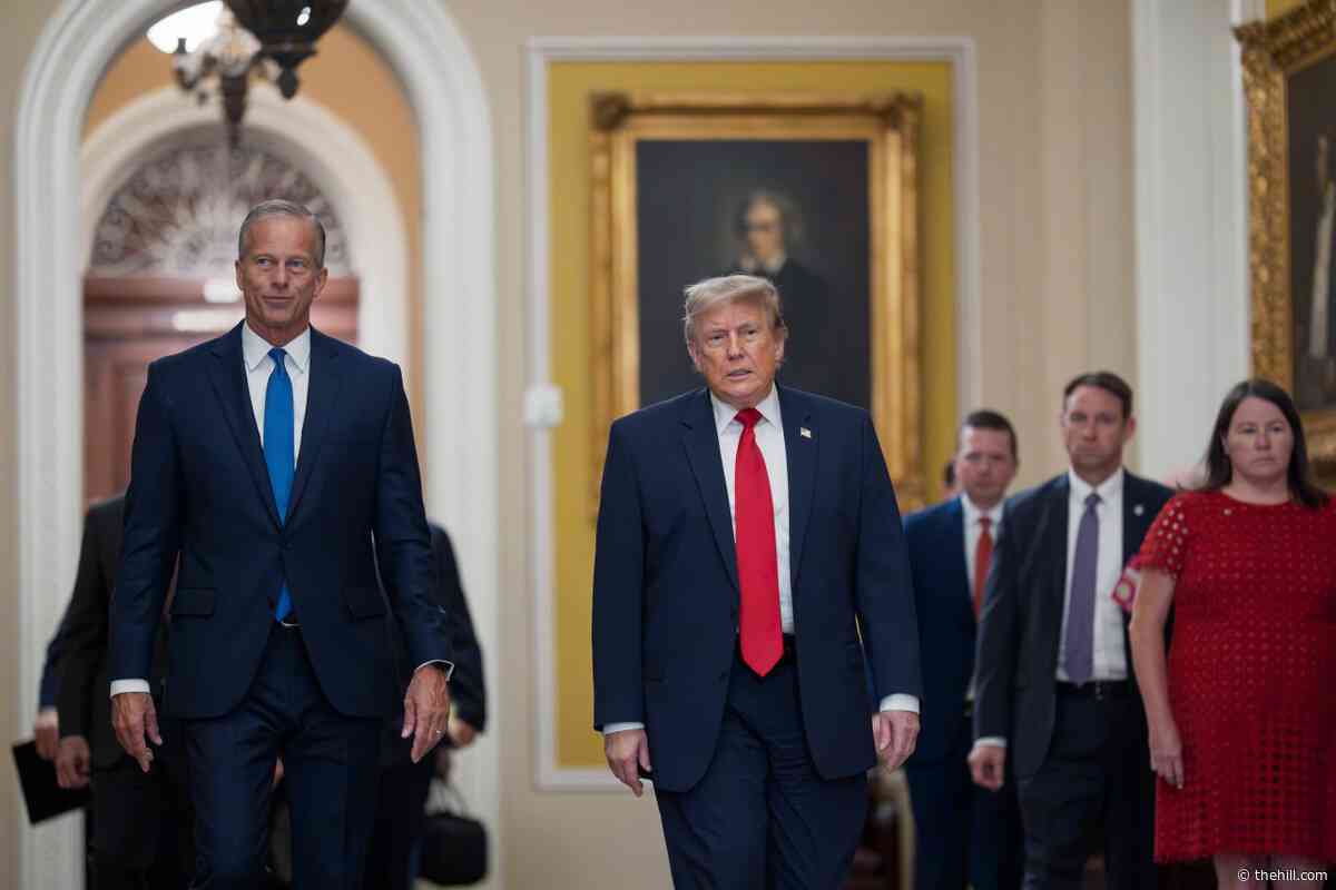 Trump, Cassidy get testy at Senate GOP meeting; NATO chief defends US goals in Iran: Live updates