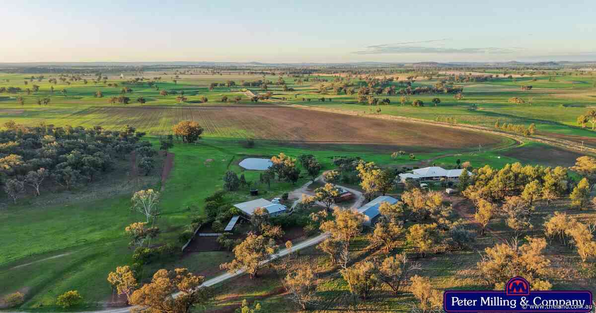 Impressive Allambie delivers standout cropping, livestock country | Video