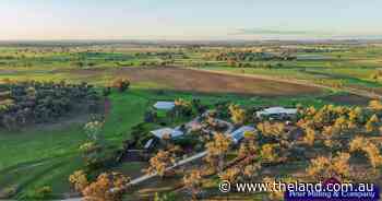 Impressive Allambie delivers standout cropping, livestock country | Video