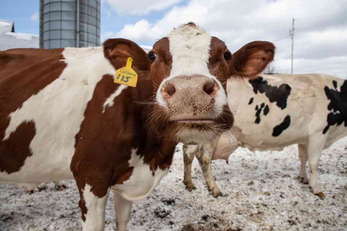 ‘A ray of hope’: A Franklin County dairy facility to reopen this fall amid a spate of shutdowns