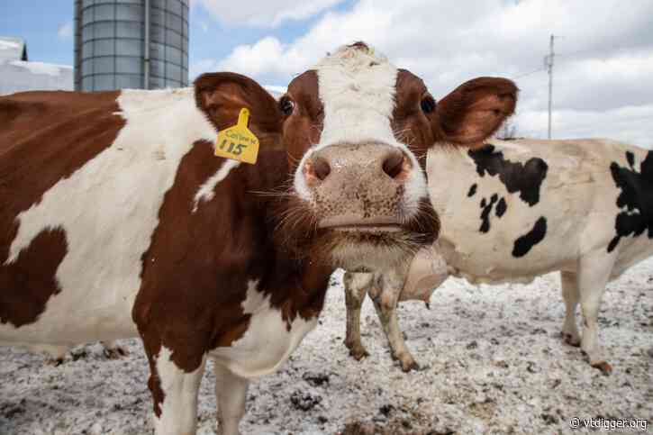 ‘A ray of hope’: A Franklin County dairy facility to reopen this fall amid a spate of shutdowns