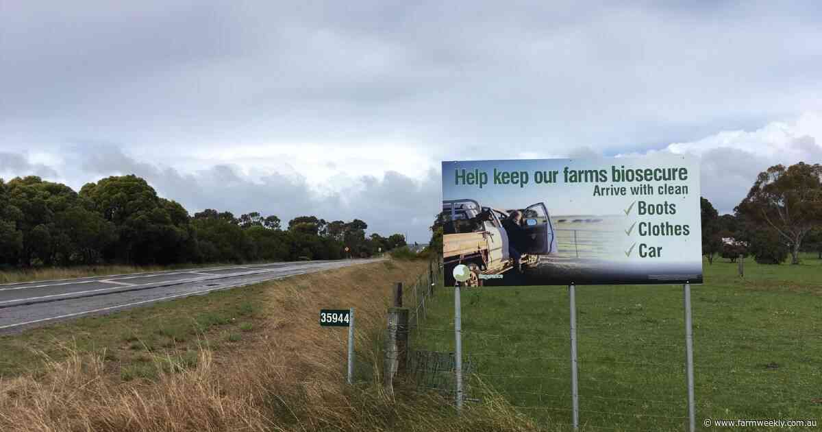 WA's first bird flu case reveals new biosecurity playbook for Esperance growers