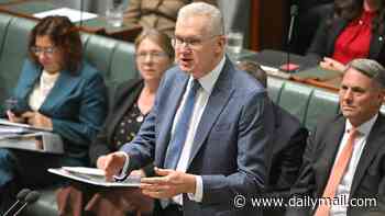 Banned ISIS bride is allowed to RETURN to Australia as Tony Burke reveals she has been given a permit
