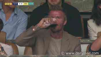David Beckham throws back a glass of red wine as he joins son Cruz and his girlfriend Jackie at the Scotland vs Brazil World Cup game in Miami