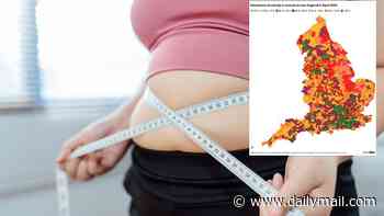 The great weight class divide: Shocking figures reveal people from poorer backgrounds are more likely to be obese - with inhabitants in the poorest parts of the North-East SIX TIMES more likely to be obese than Londoners