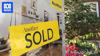 Sydney, Melbourne to lead price falls in 'fragmented' market