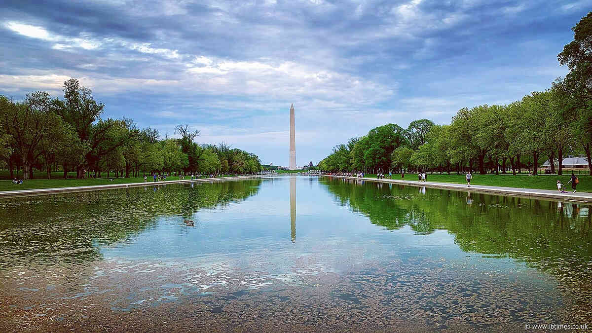 Is Trump's 'Beautiful' Reflecting Pool a 'Giant Duck Death Trap'? Two Found Dead Nearby and One Floating Inside It