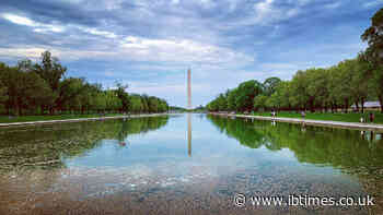 Is Trump's 'Beautiful' Reflecting Pool a 'Giant Duck Death Trap'? Two Found Dead Nearby and One Floating Inside It