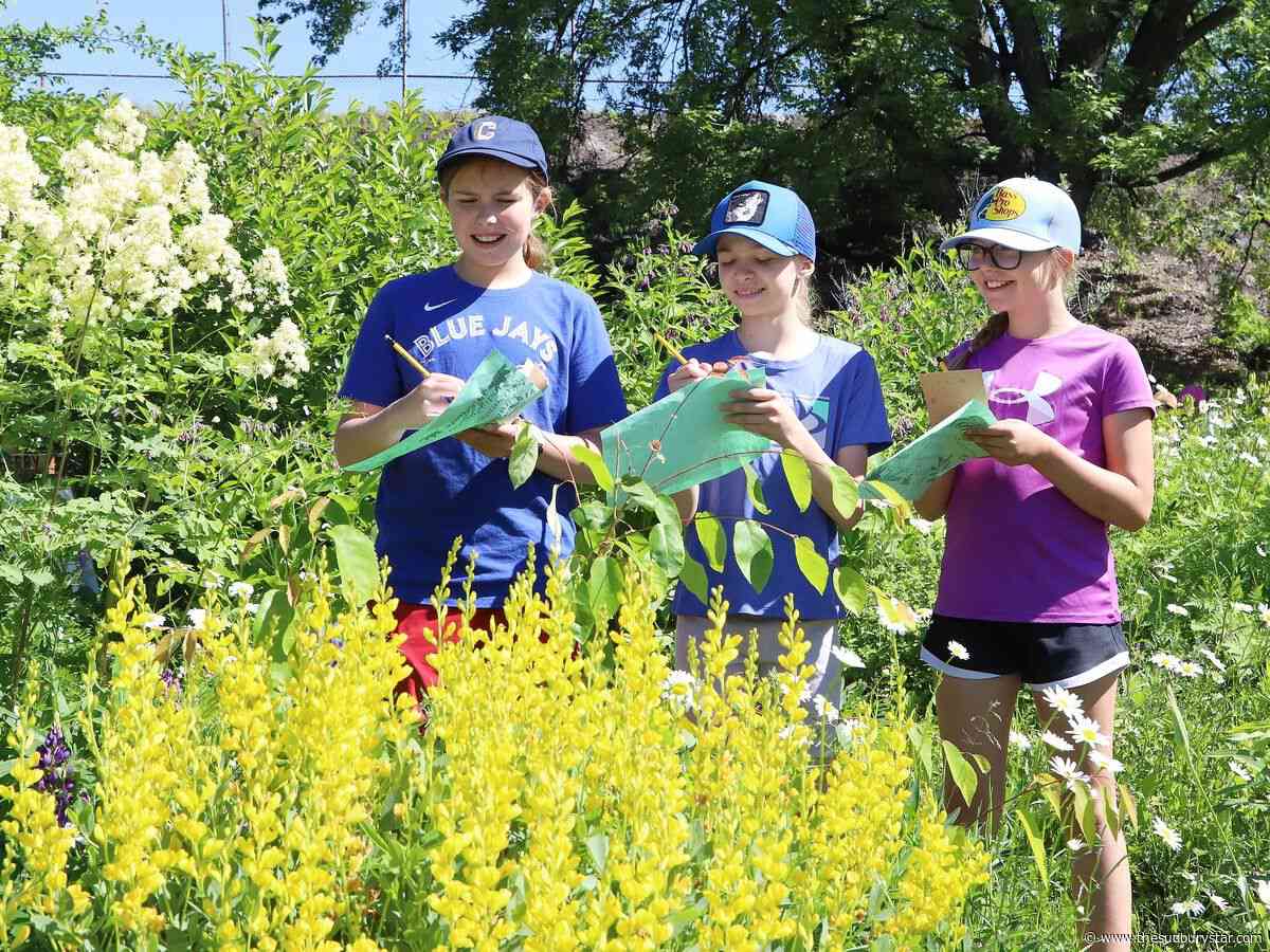 Grant money to help expand food production in Sudbury