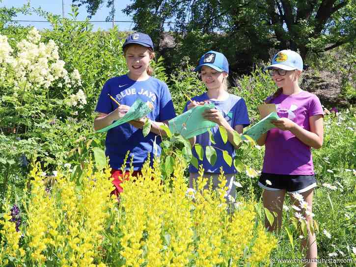 Grant money to help expand food production in Sudbury