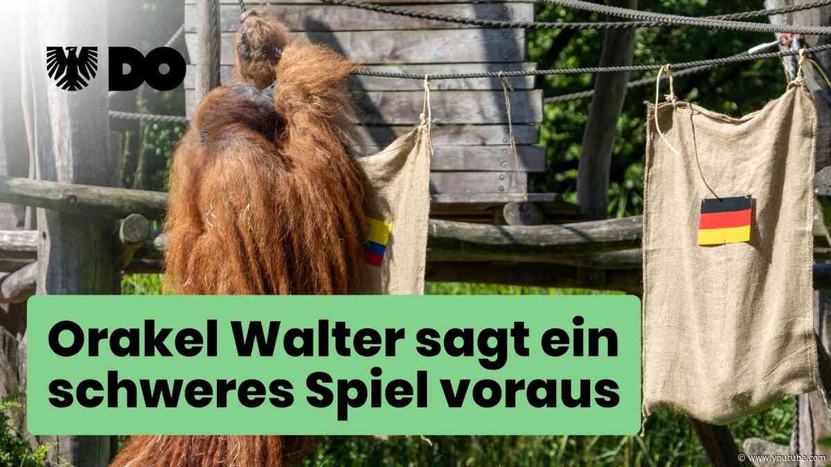 Orakel Walter sagt ein schweres Spiel voraus