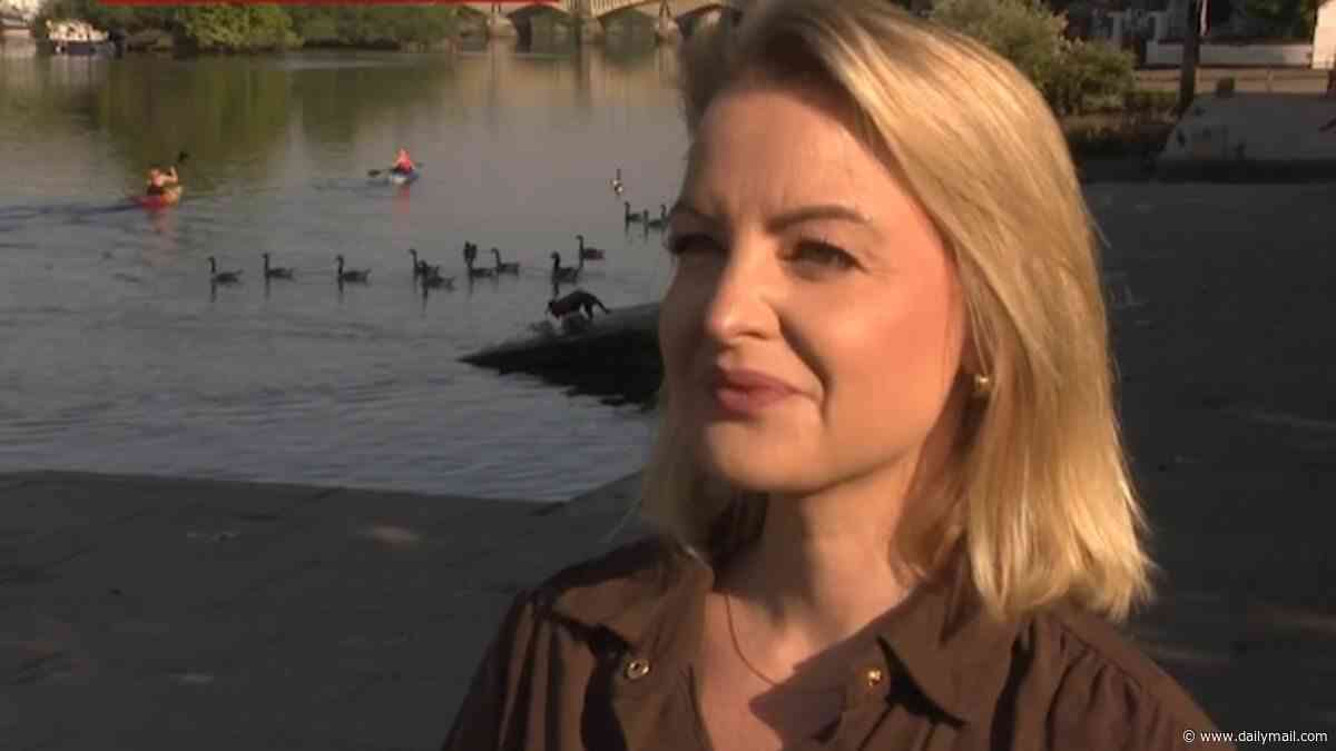 Moment BBC interview on how to keep your pet safe in the heatwave is interrupted...by dog terrorising wildlife