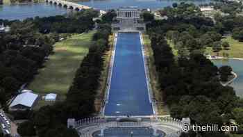 Trump lays out new details on Reflecting Pool 'vandals'