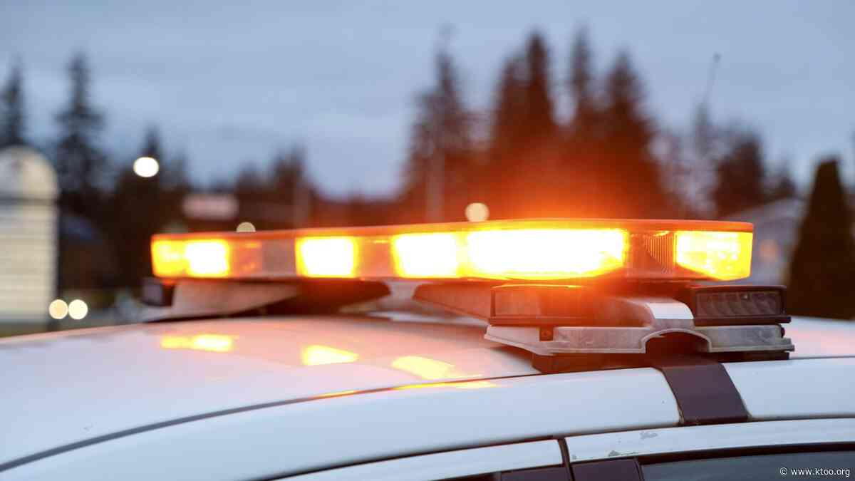 Man arrested for chasing girls in the Mendenhall Valley