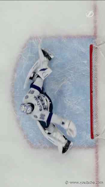 Vasy, Vasy, Vasy, Vasy 🦁