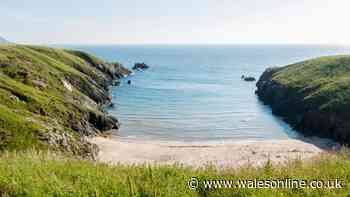 Hidden bay provides peaceful escape from overcrowded beaches amid heatwave