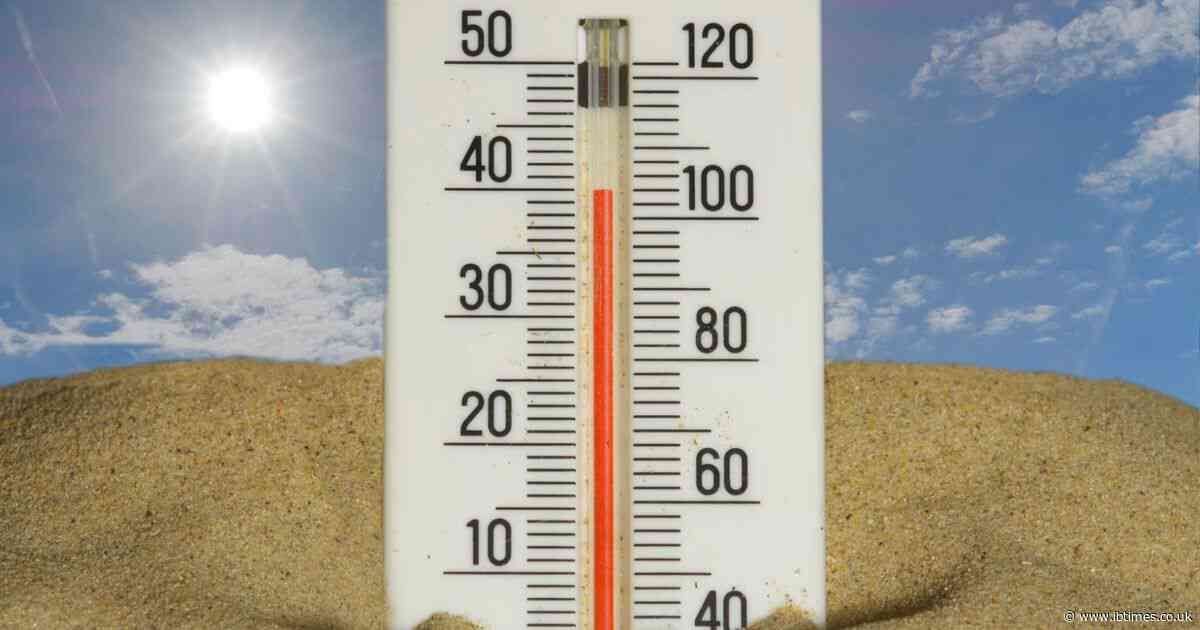 Britain Erupts as Over 1,000 Schools Close in the Heatwave and Leave Working Parents in Chaos: 'We Are Breeding a Nation of Melts'