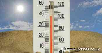 Britain Erupts as Over 1,000 Schools Close in the Heatwave and Leave Working Parents in Chaos: 'We Are Breeding a Nation of Melts'