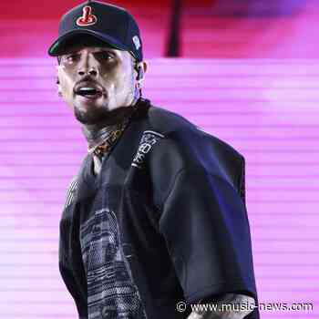Chris Brown's housekeeper sobs during dog mauling trial
