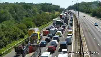 More than 10 people are rushed to hospital for 'heat-related' illnesses after being stranded in traffic on the M25 for HOURS during red alert