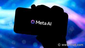 Meta Halts Employee Data Tracking After Sensitive Info Reportedly Exposed