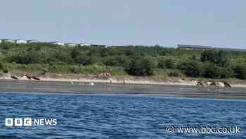 Warning over unauthorised swimming in lake