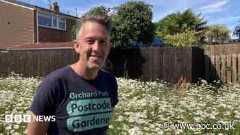 'Right to grow' helping wild flowers bloom