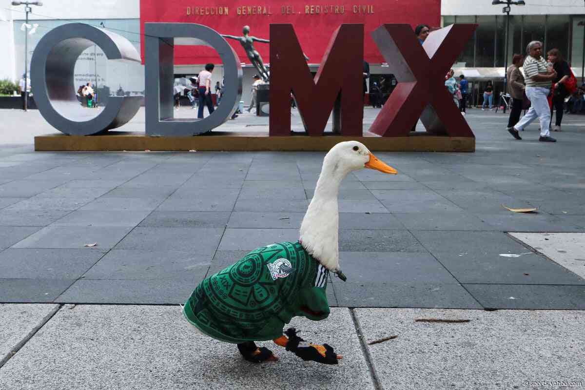 Viral sensation Merlin the duck denied entry to stadium ahead of Mexico game