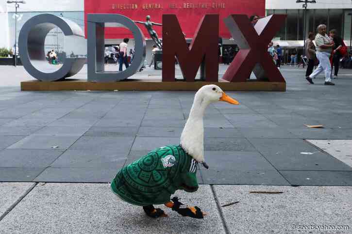 Viral sensation Merlin the duck denied entry to stadium ahead of Mexico game