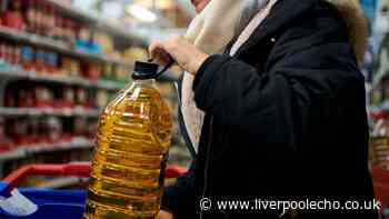 What is the difference between sunflower oil vs vegetable oil?