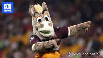 Brisbane Broncos warn of scam offering fake mascot auditions