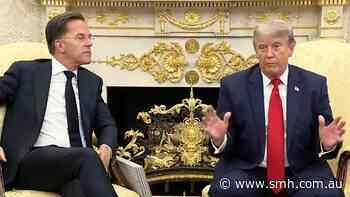 Trump meets NATO chief at White House