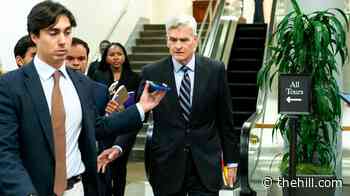 Cassidy Receives Iran Briefing at White House after Clashing with Trump