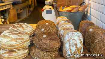 UK bakery plunges into liquidation - in business for more than a decade