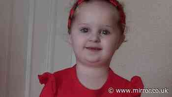Girl, 3, dies after parents let infestation get so bad that it left her anaemic