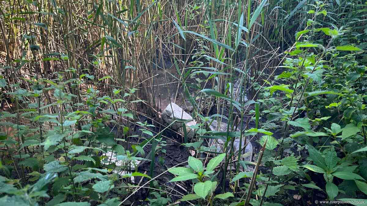 Wirral stream investigated over suspected pollution